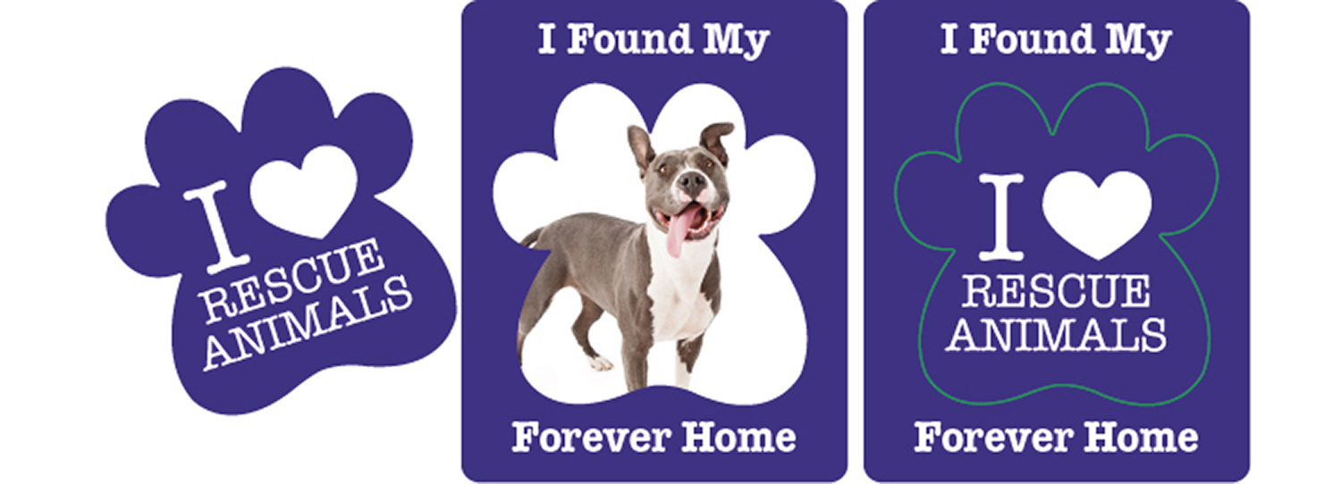 Magnet - Paw Shape Picture Frame (3x3.75) - 25 mil. 1