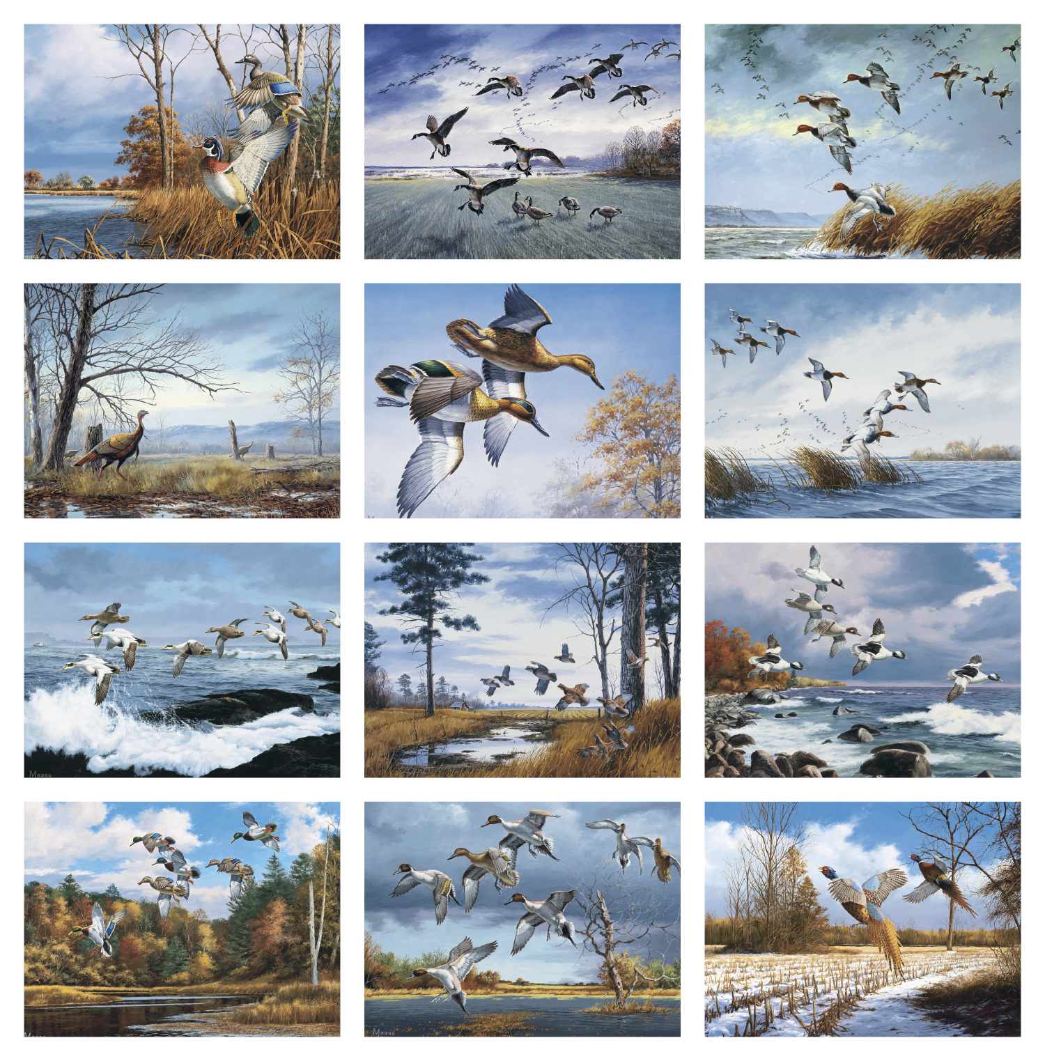 HotLine® Products Maass Wildfowl® Executive Calendar 24