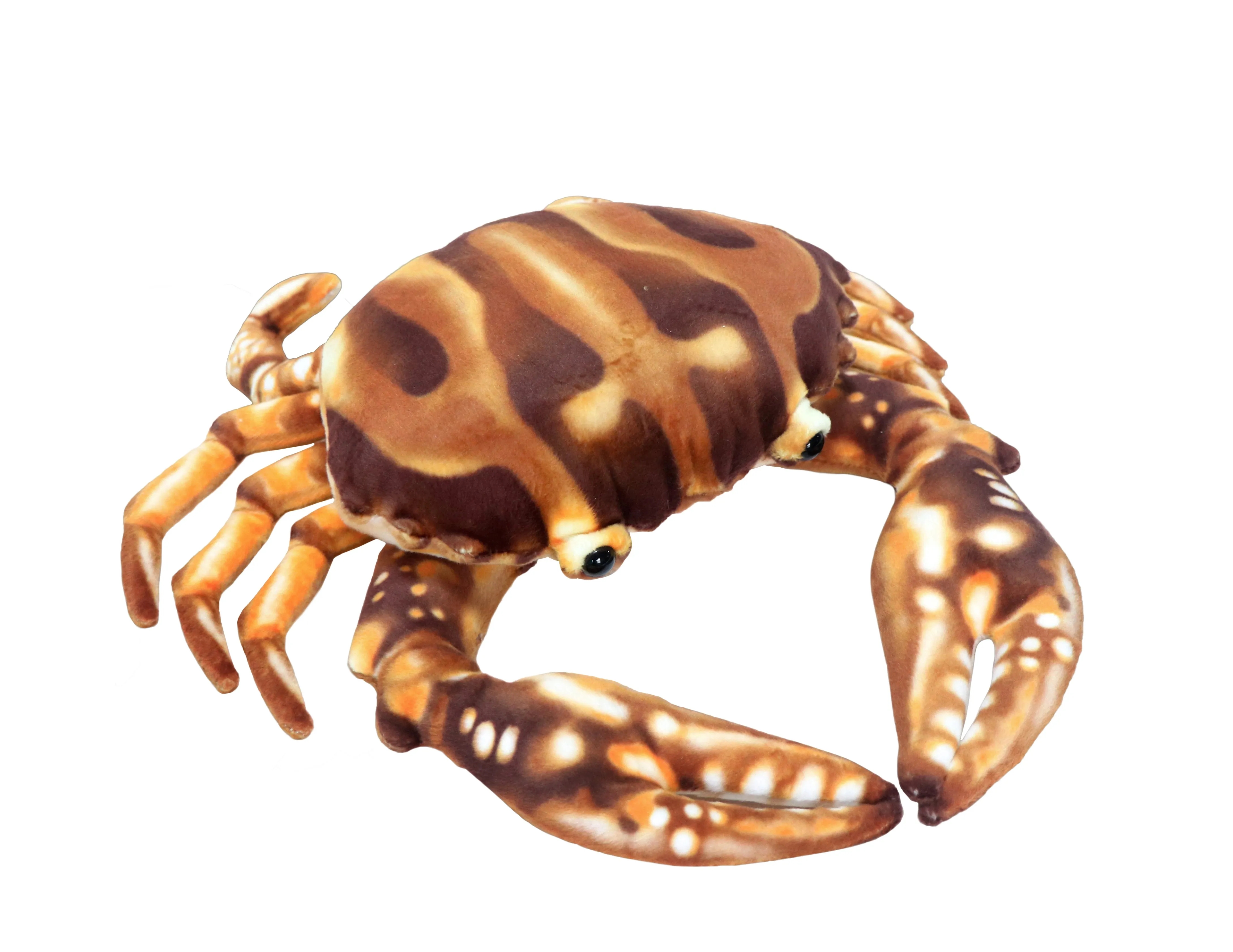 Brown Crab 2