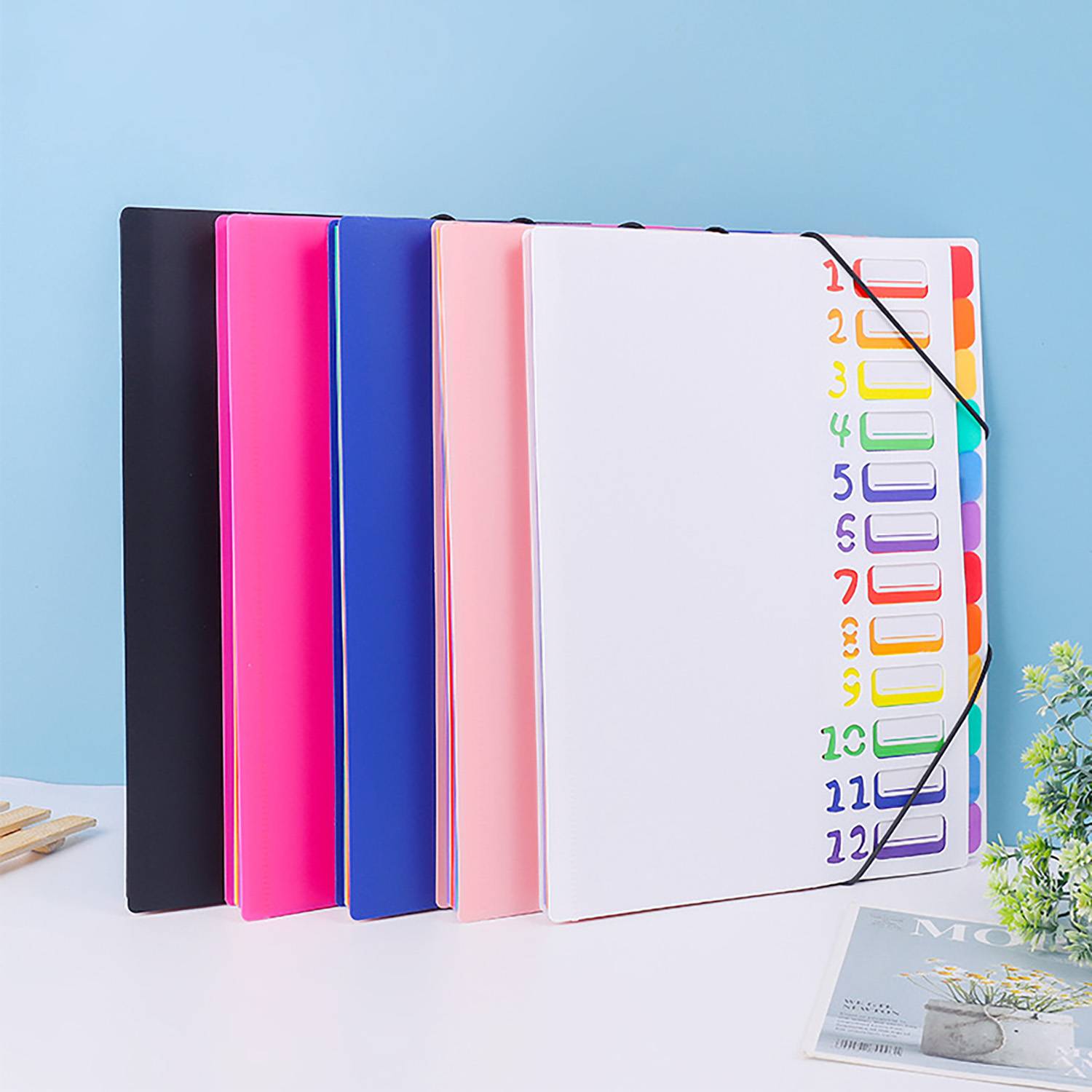12 Pockets Plastic Expanding File Folder 11