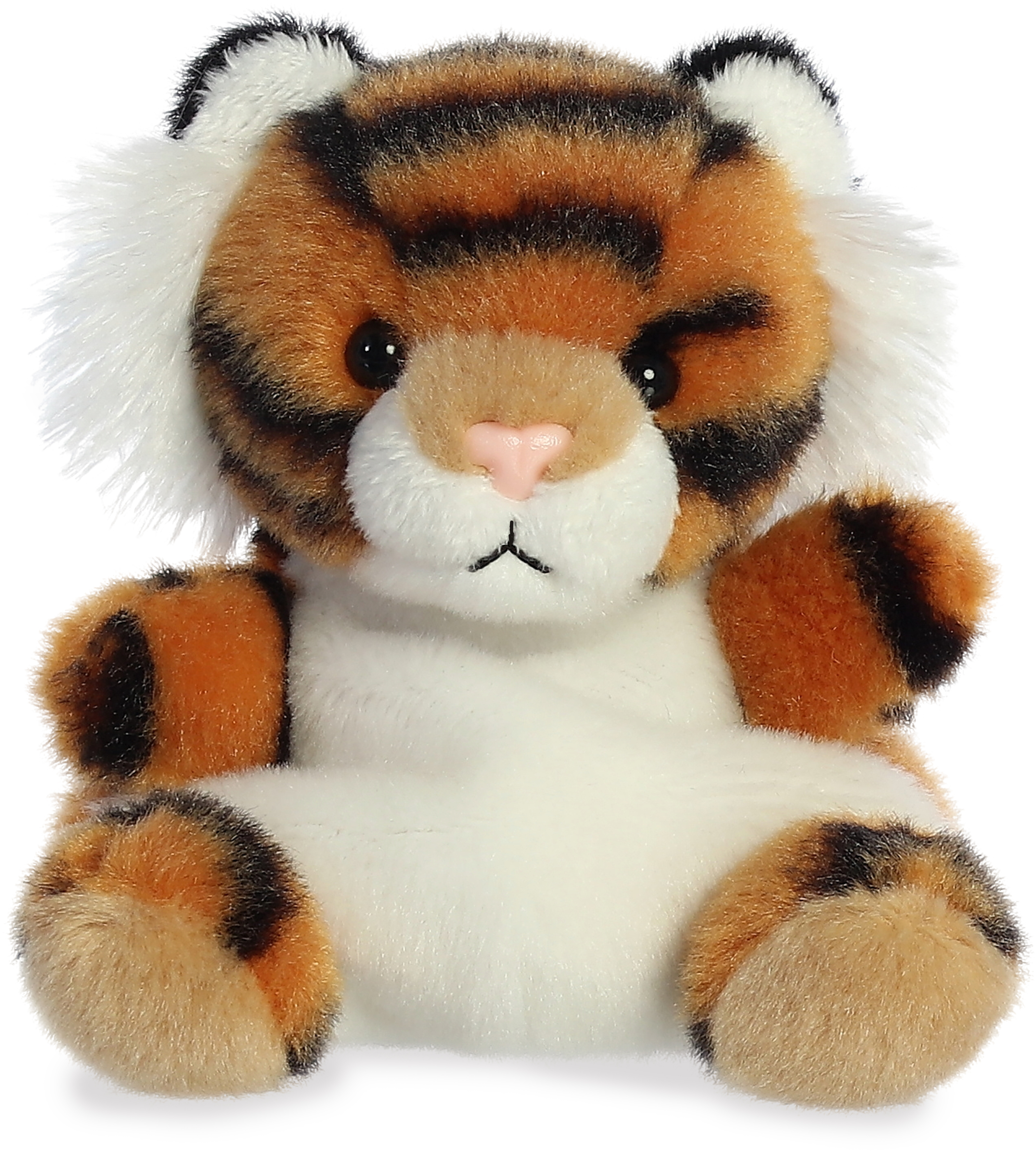 5" Indy Tiger 2
