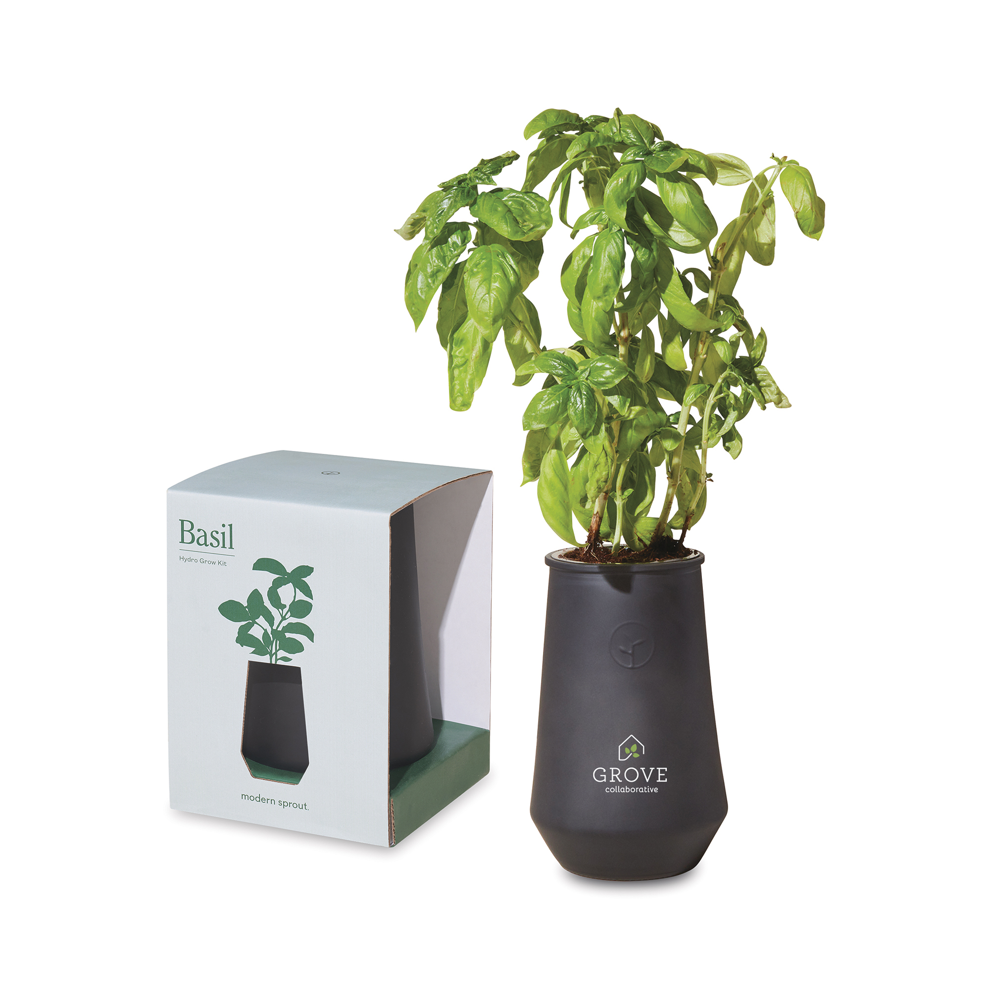 Modern Sprout® Tapered Tumbler Grow Kit 5