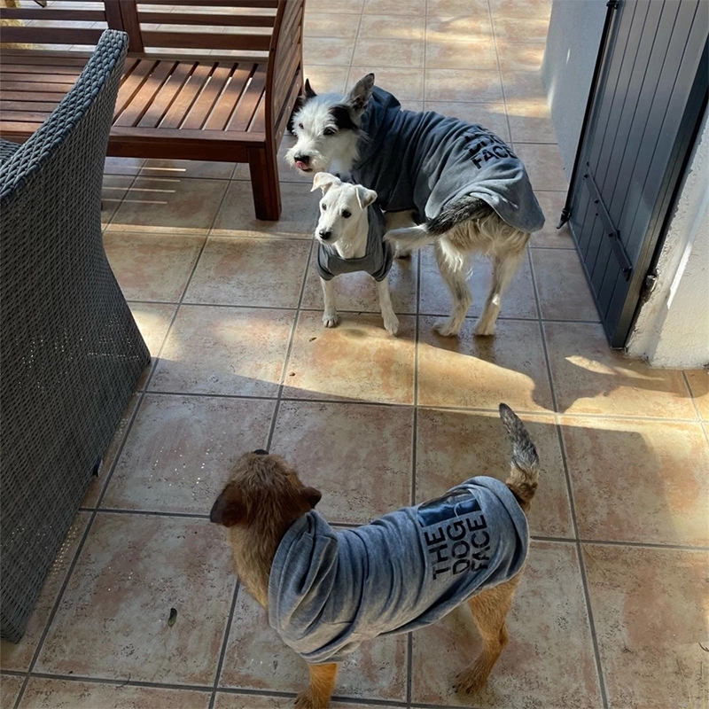 Letters Winter Pet Dog Hoodies Cotton Warm Clothes 5