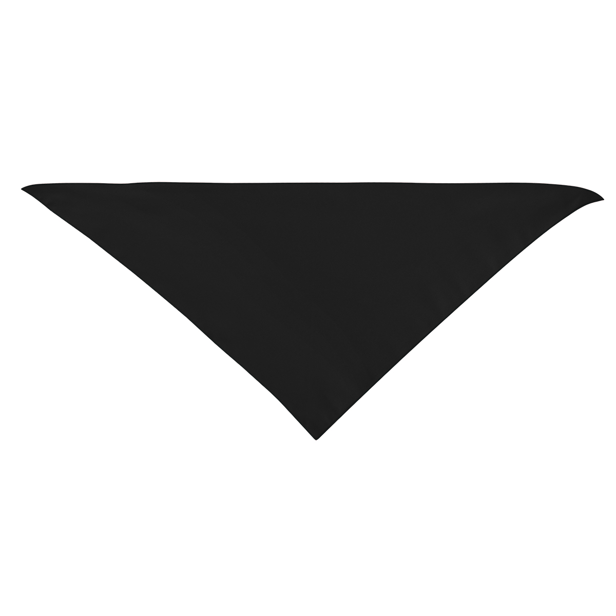 Large Triangle rPET Pet Bandana 18