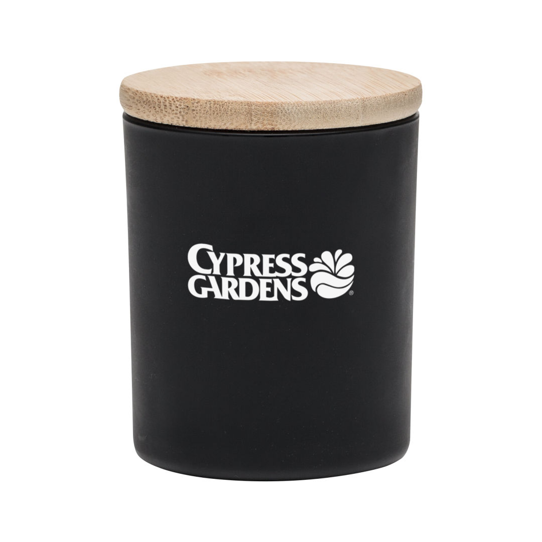 Bruges Glass Candle - 3.2oz 11
