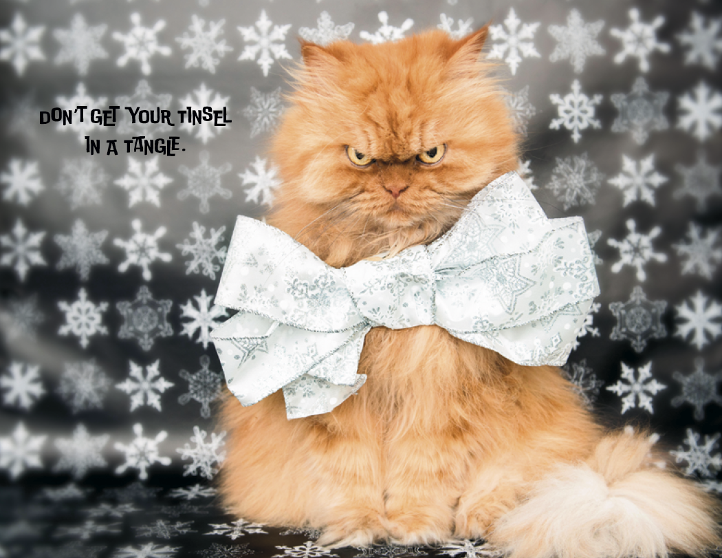 Good Value™ Pets with Attitude - Spiral Calendar 23