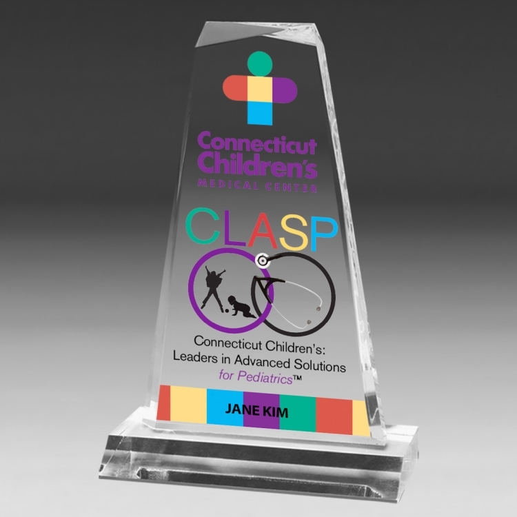 Multi-Faceted Acrylic Award - 8 3/4" - Screen Print 2