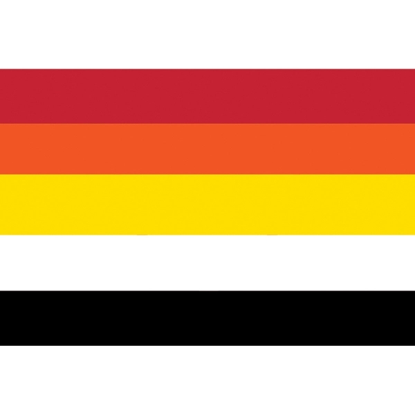 Lithsexual Stick Flag 1