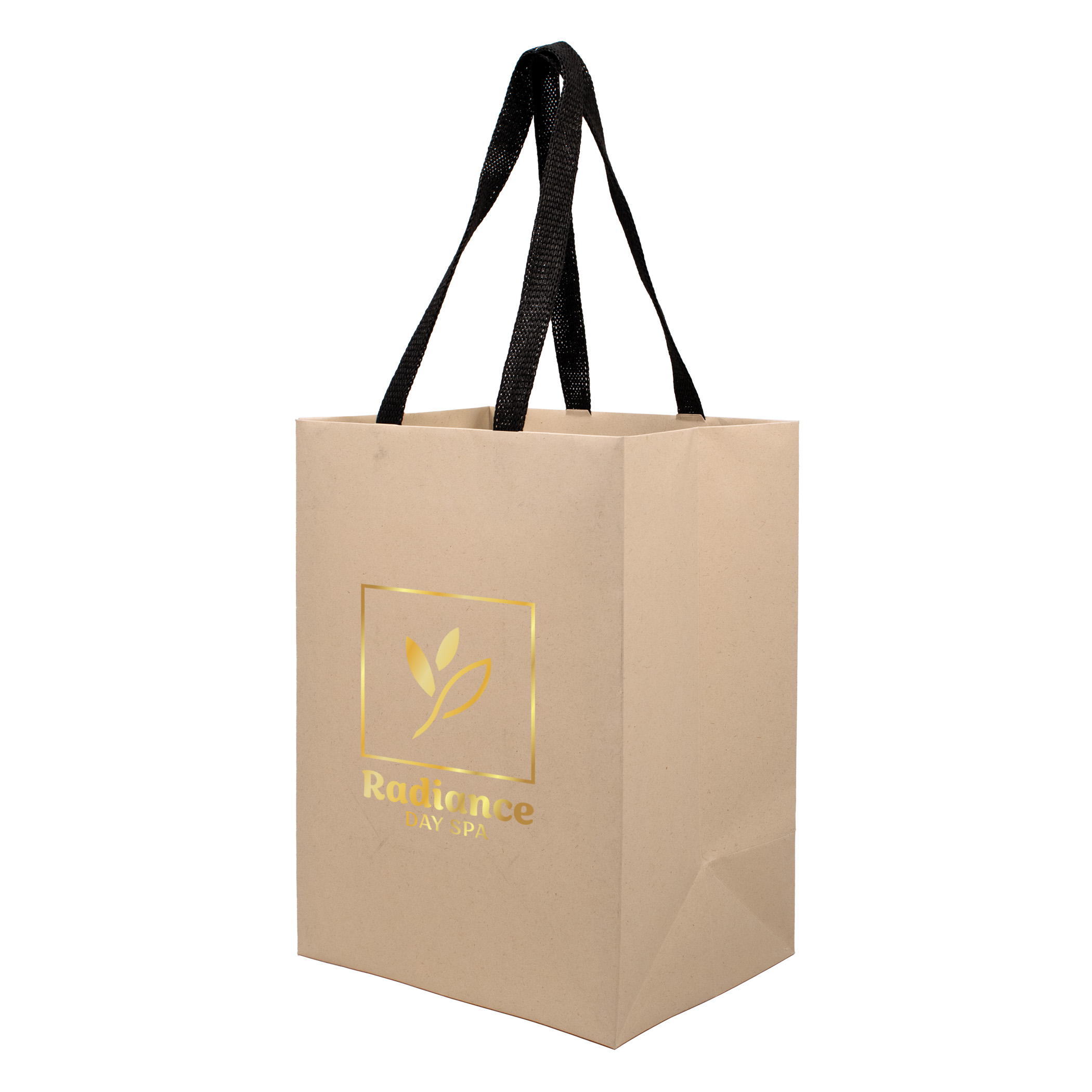 Sugarcane Paper Bag with Embedded Web Style Paper Handles - 3