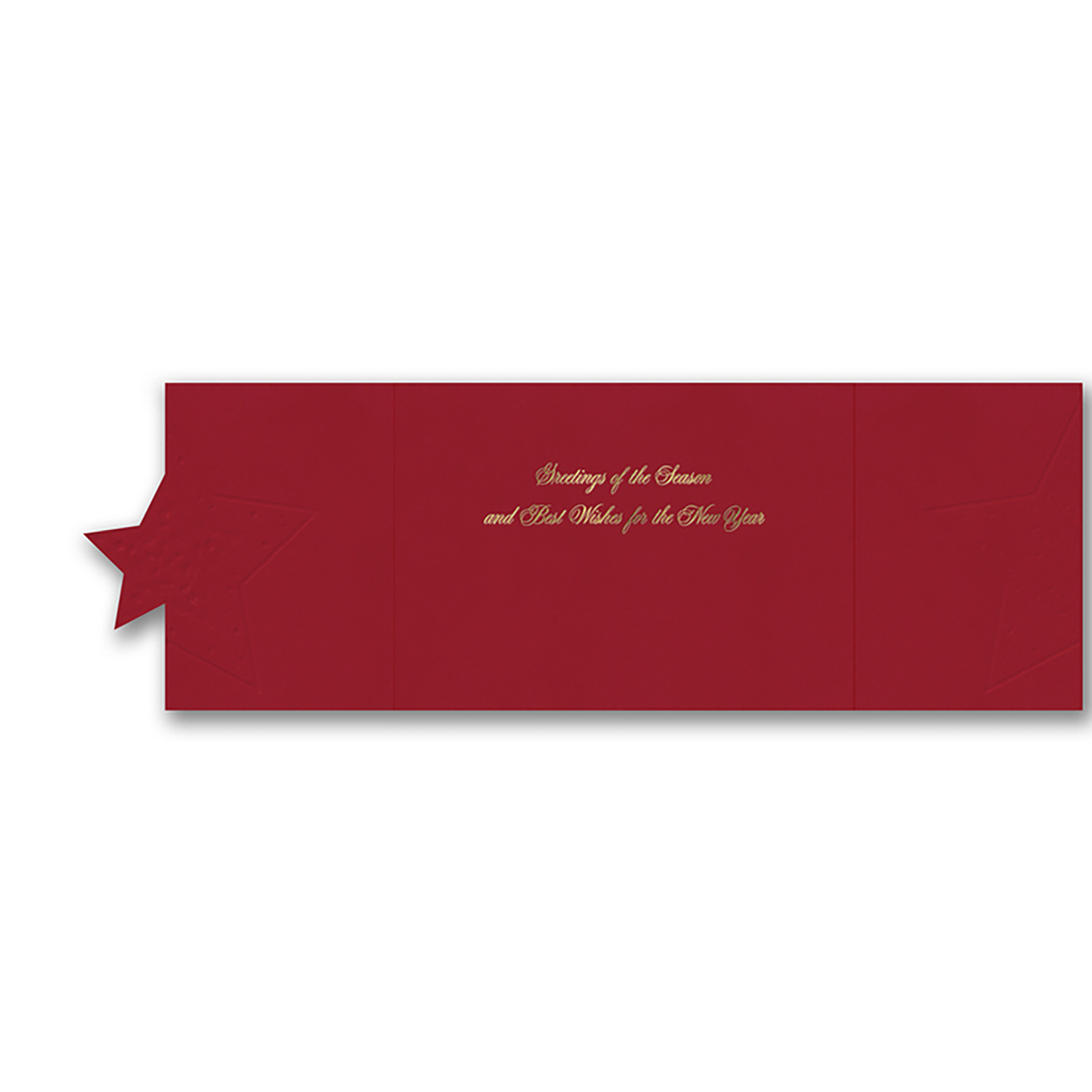 Big Bright Star Holiday Card 2