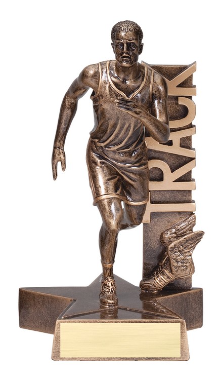 6 1/2" Tall Track Male Billboard Resin Award 2