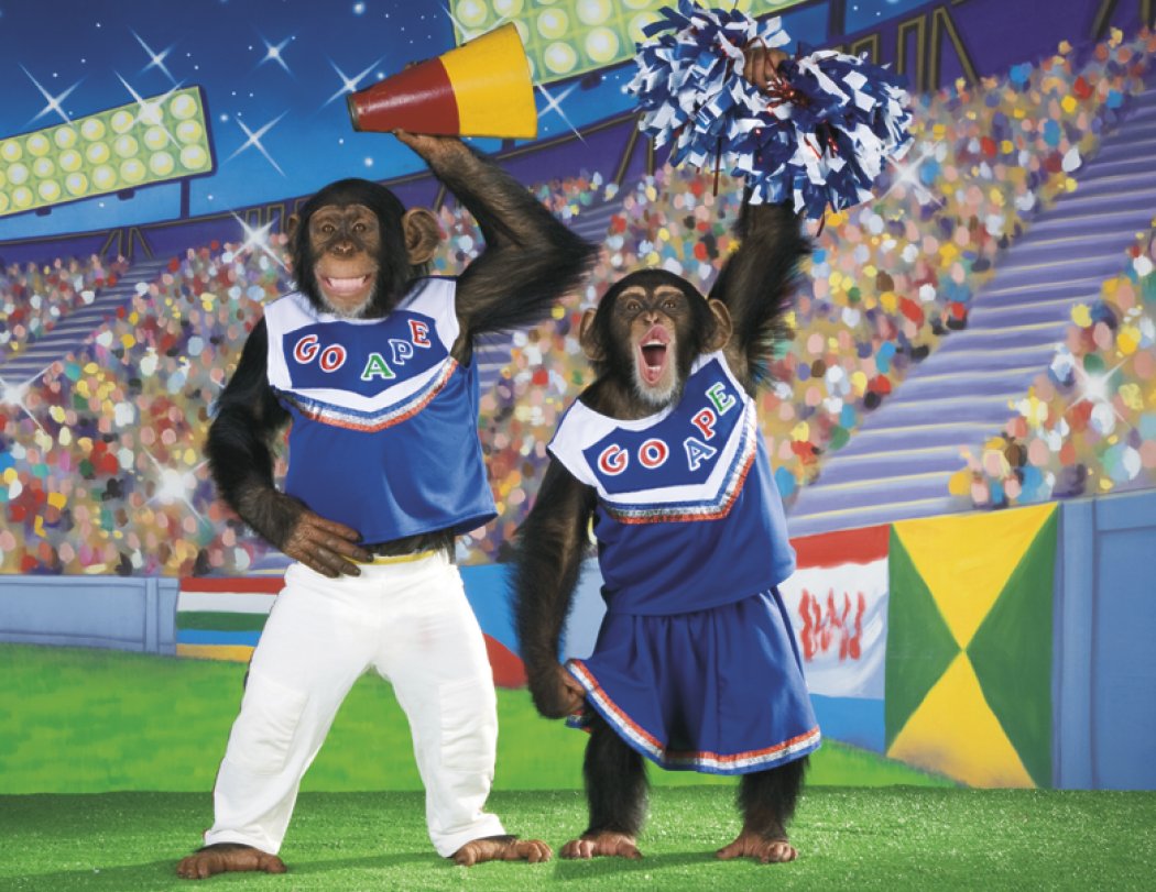 Triumph® Calendars Monkey Business Calendar 25
