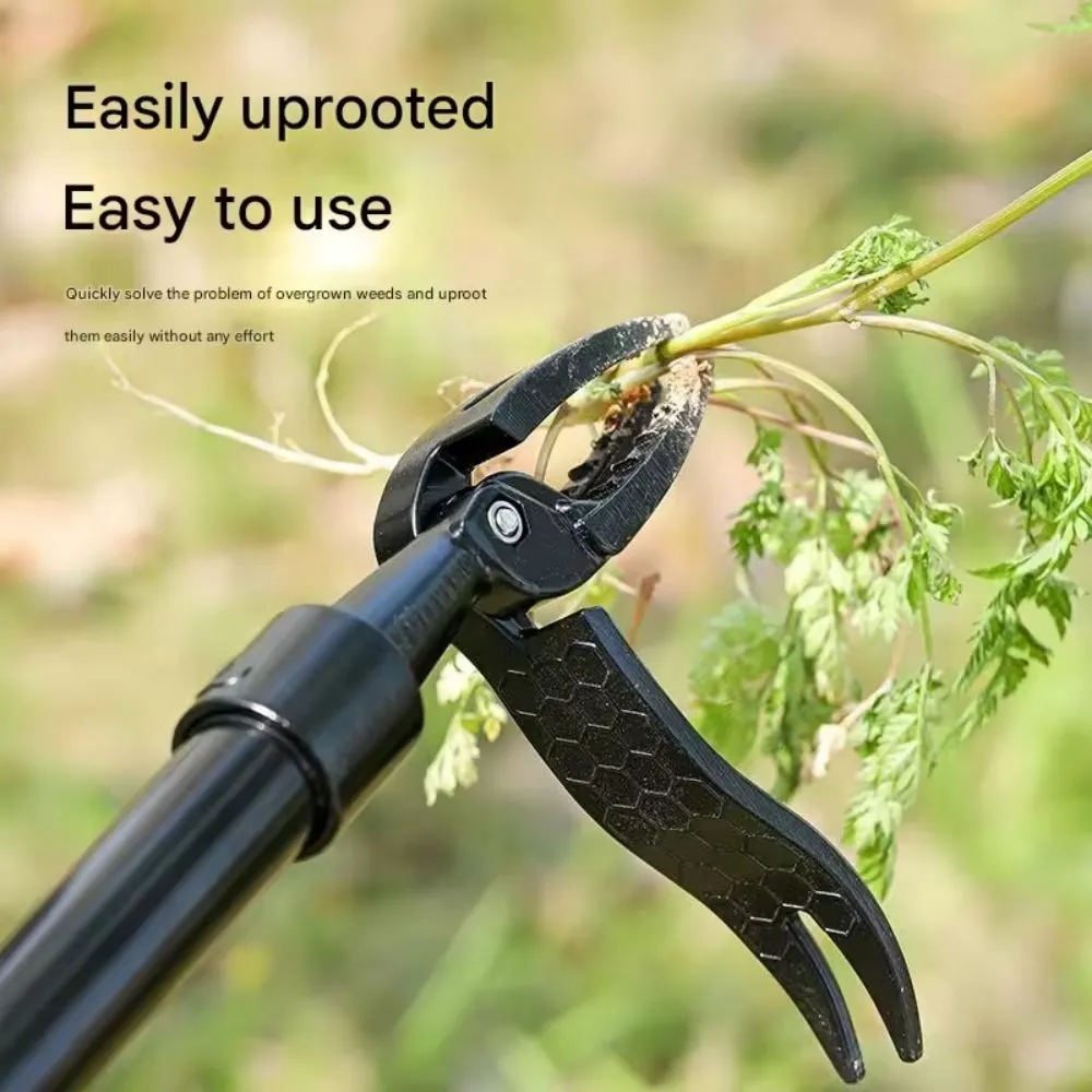 Standing Root Puller 2