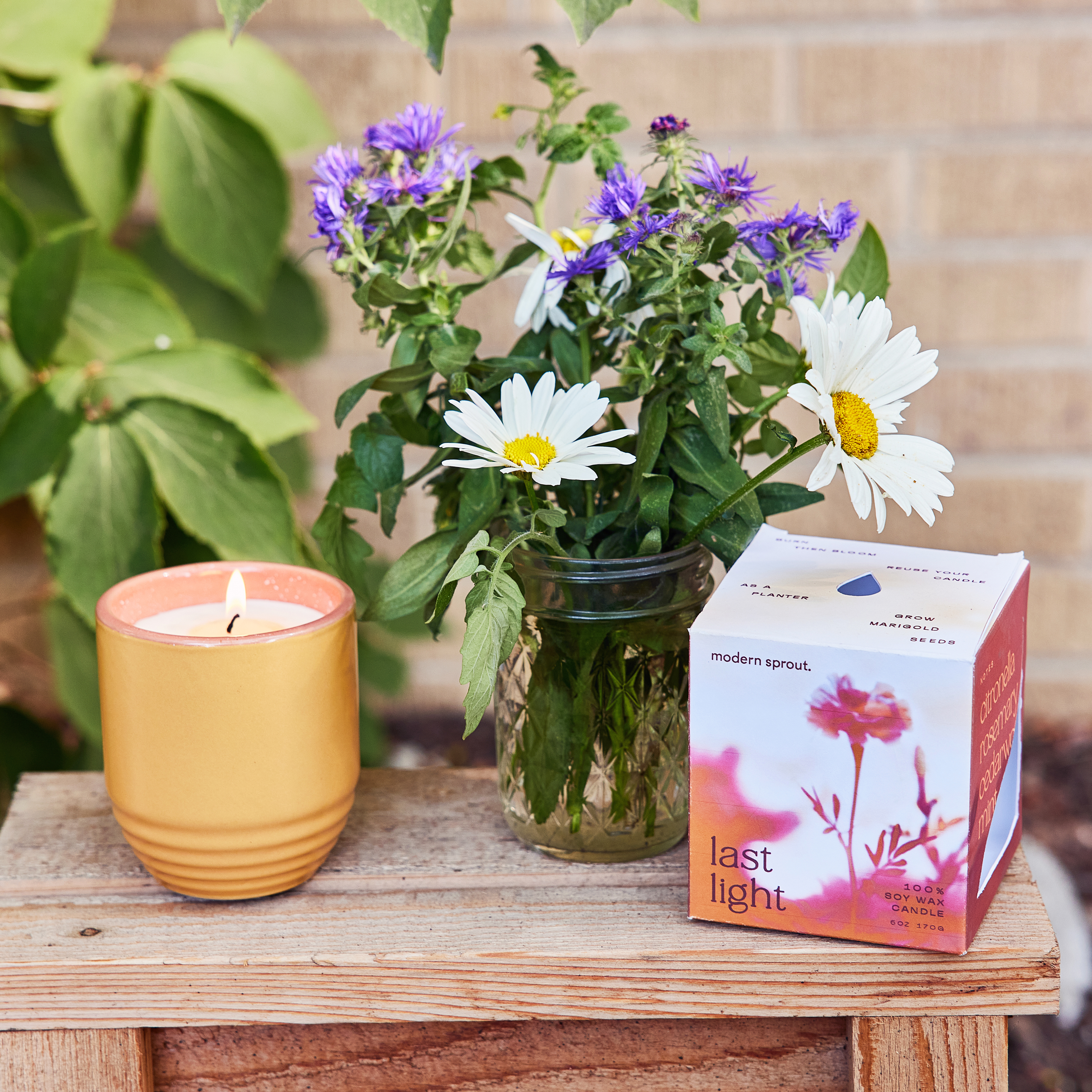 Modern Sprout® Garden Vibes Candle/Planter 73