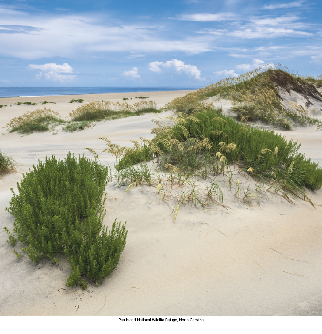 HotLine® Products Scenic America® Executive 30