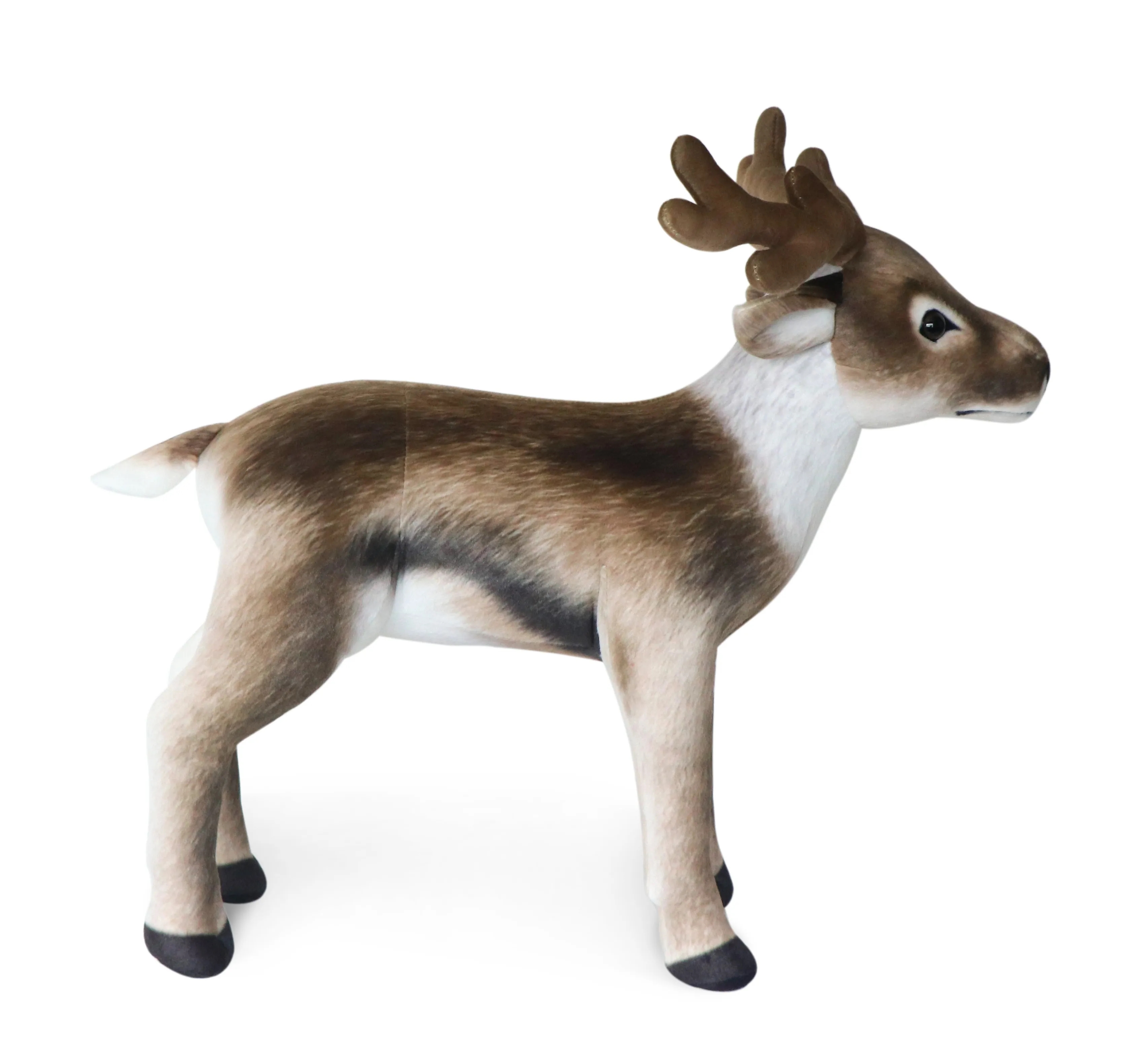 Deer 56 2