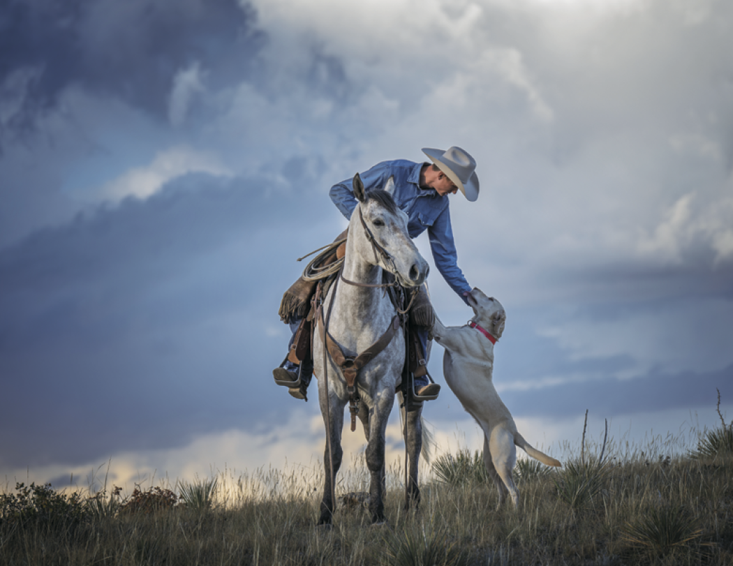 Triumph® Calendars Visions of the West Calendar 54