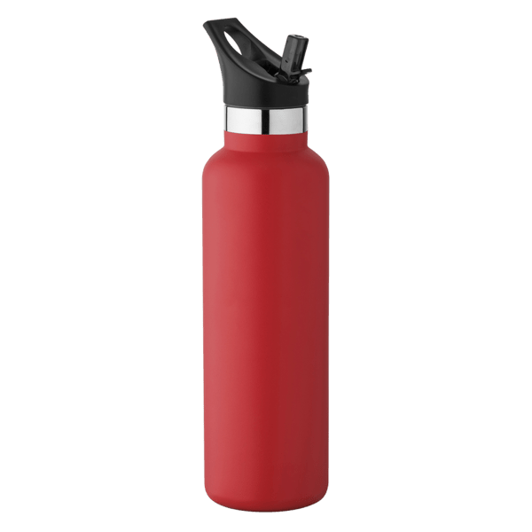20 oz Basecamp Mesa Tundra Bottle with Screw Top and Flip-Top Straw Lid 129