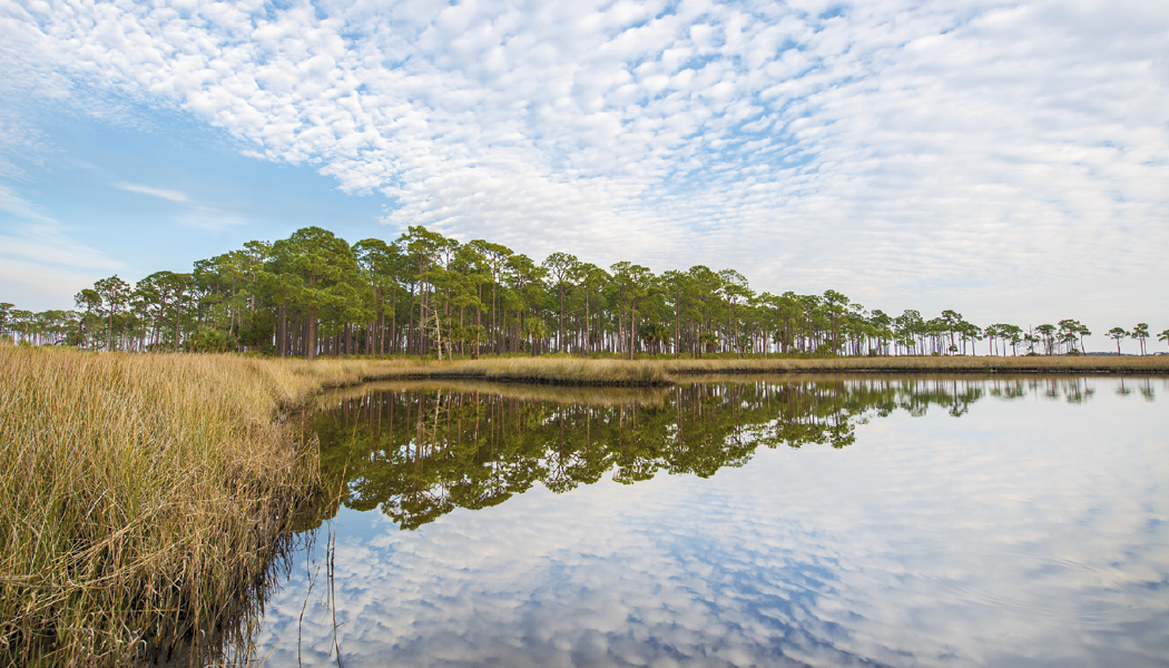 Triumph® Calendars American Splendor with Date Blocks Calendar 19