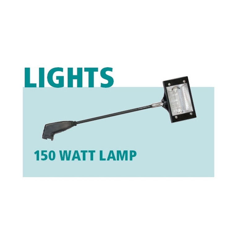 150 W Halogen Light 2