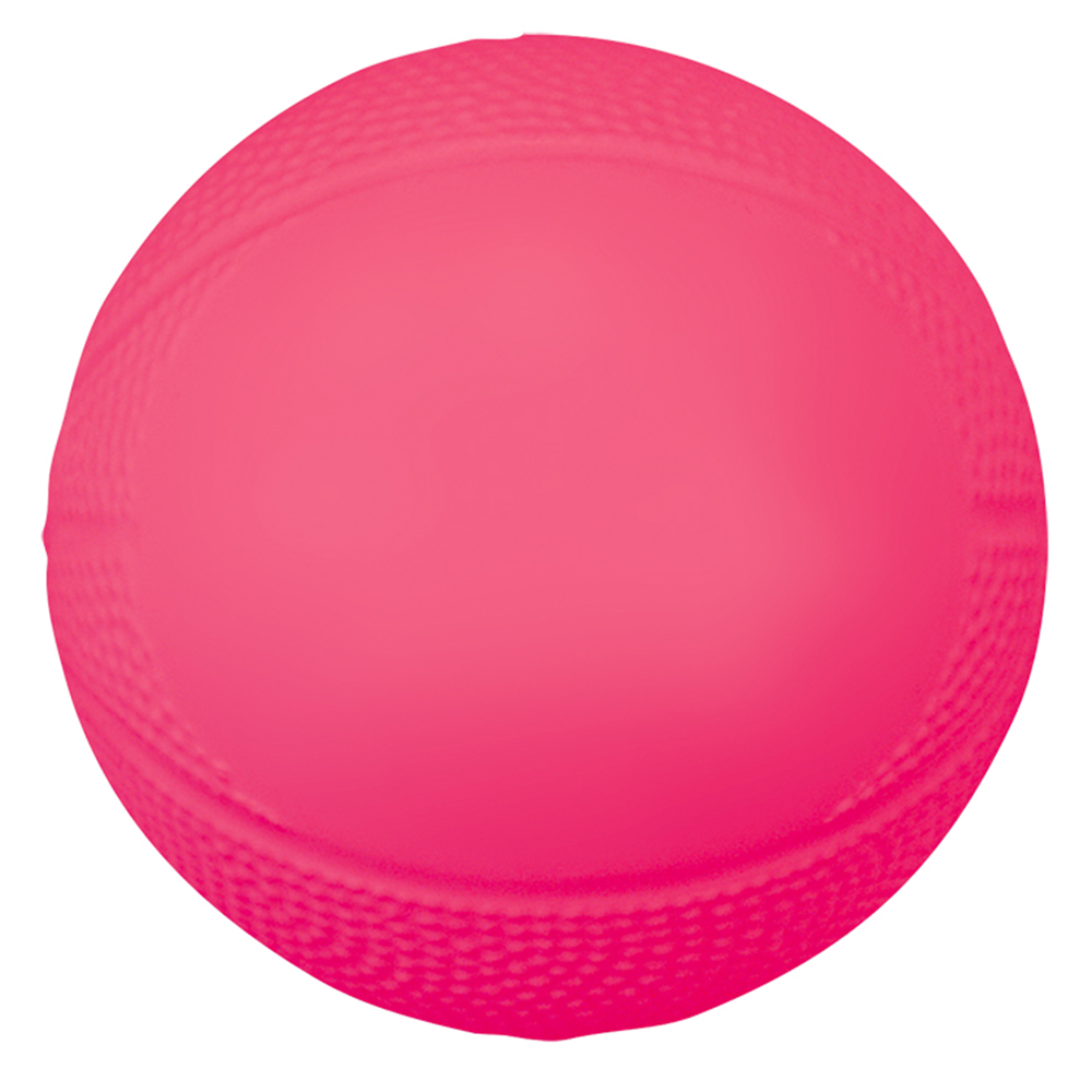 Mini Vinyl Basketball 14