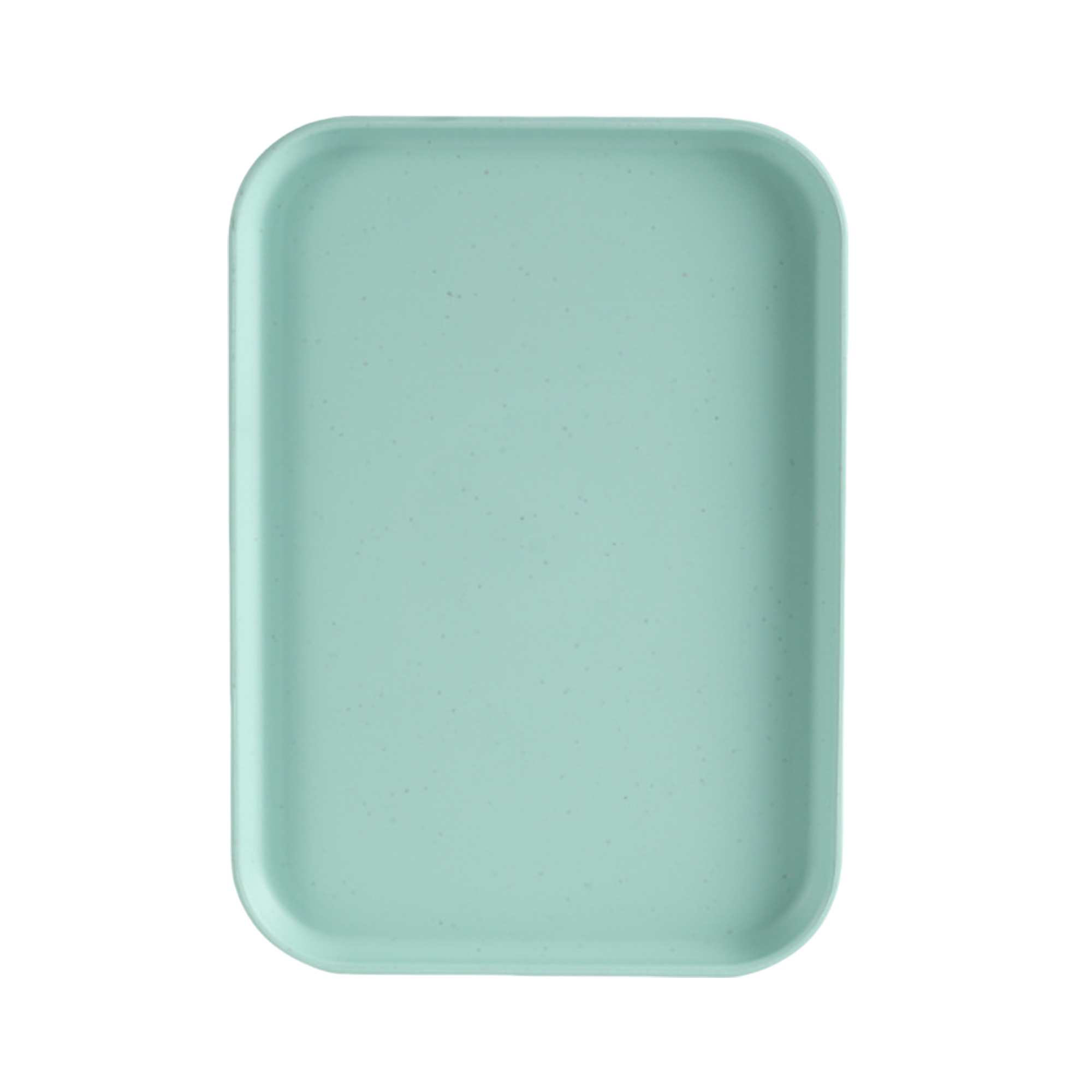 Colorful Fast Food Tray MOQ50 6