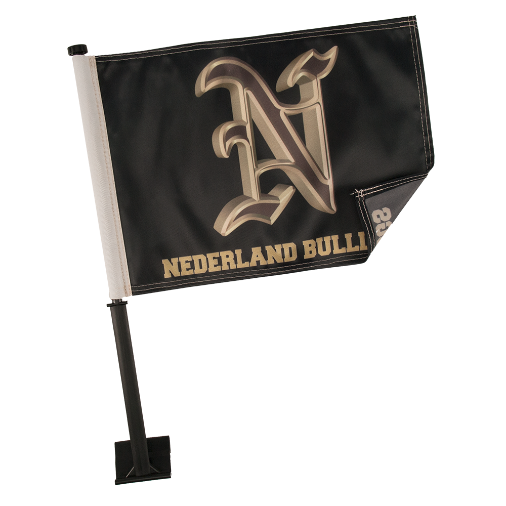 11" x 15" Economy Car Flag 22