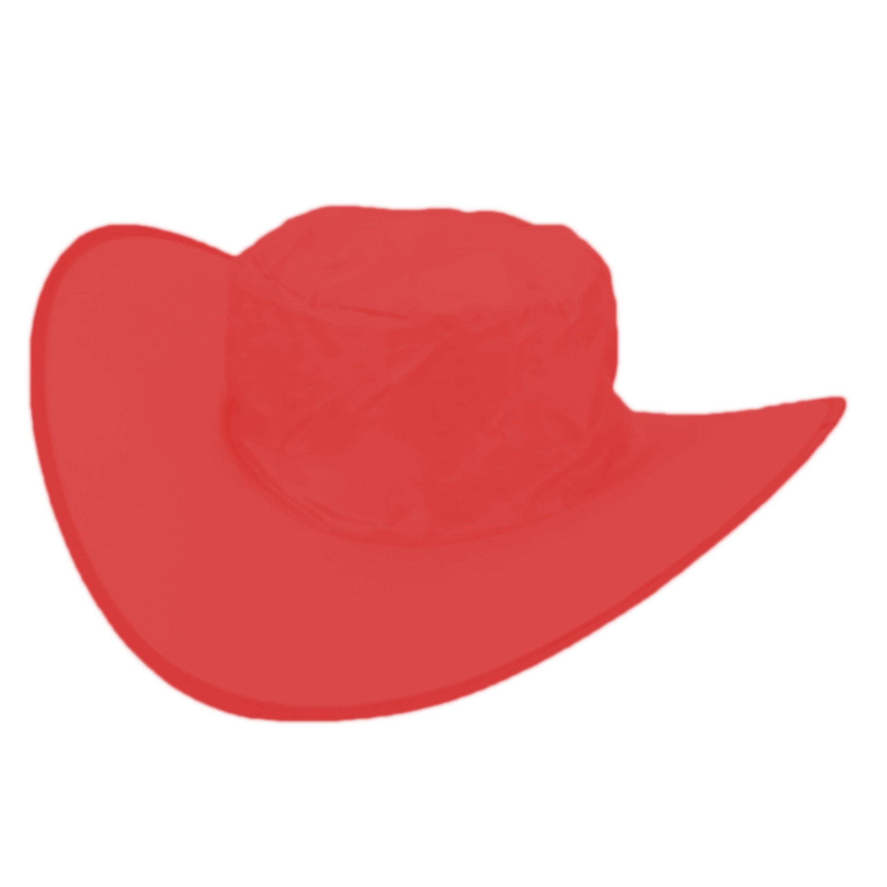 Foldable Cowboy Hat 2