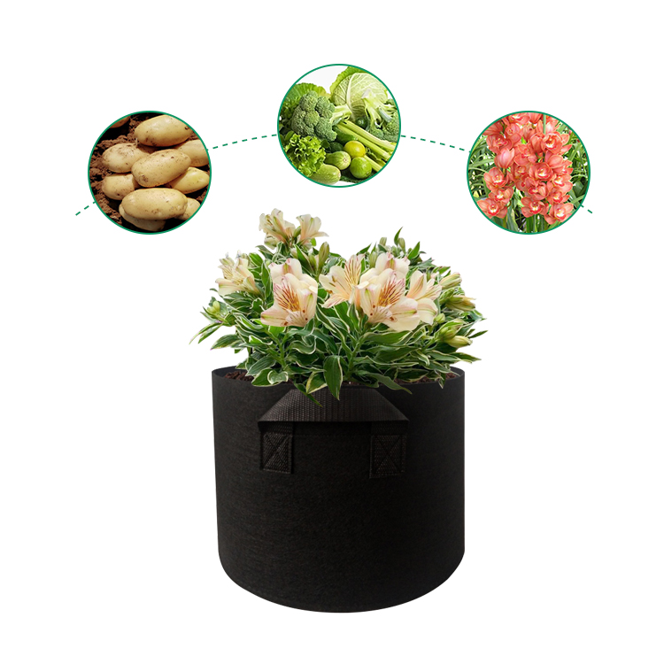 5 Gallon Grow Bags 2