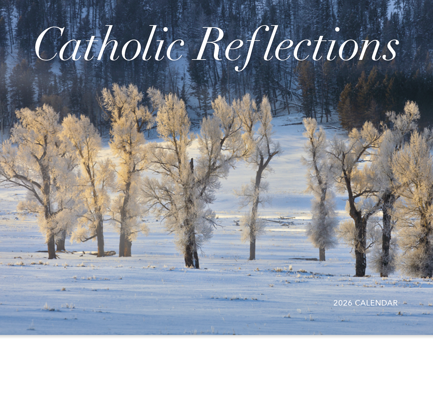 HotLine® Products Catholic Reflections Appointment Calendar - Stapled 45