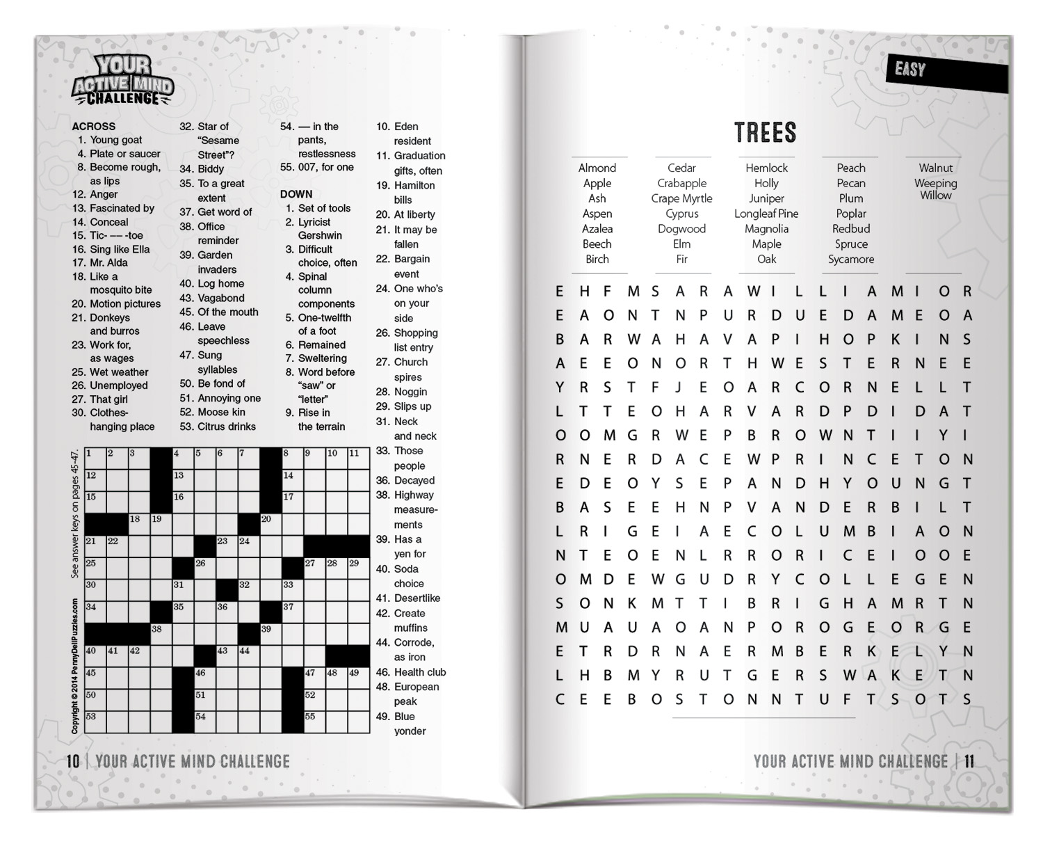 Sharp Minds Games - Your Active Mind Challenge 4