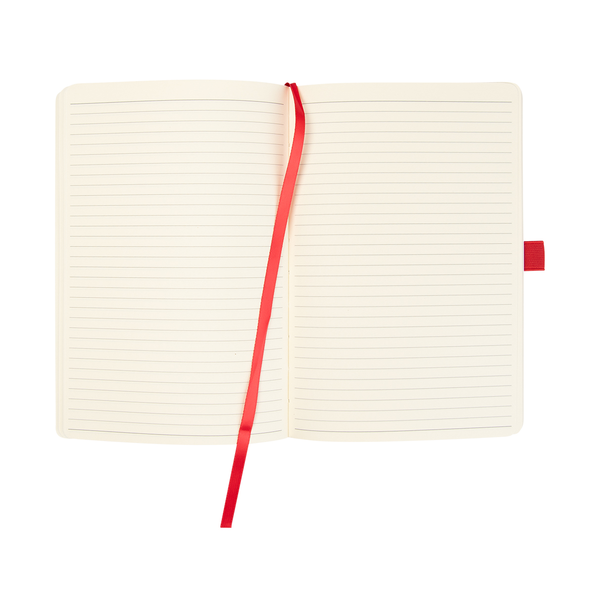 Apple Skin Journal 16