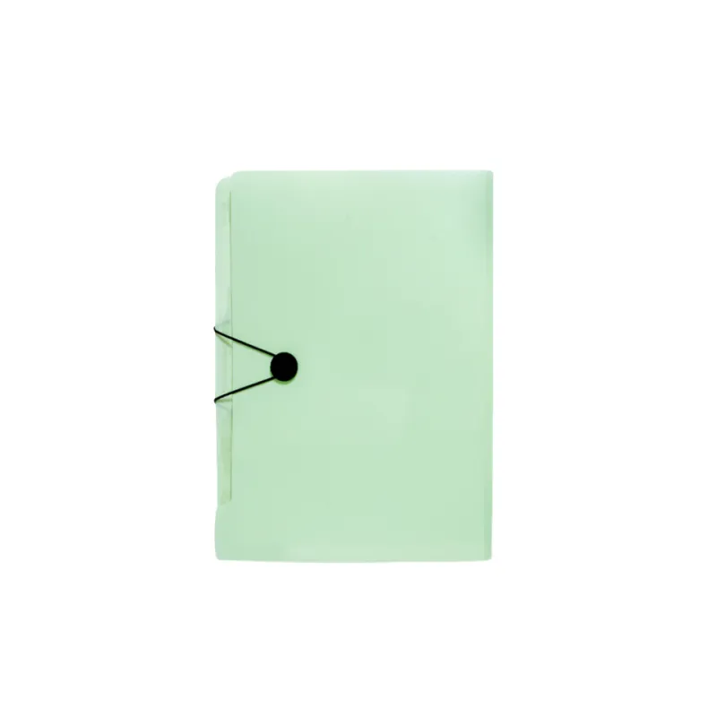 Expanding File Organizer 3