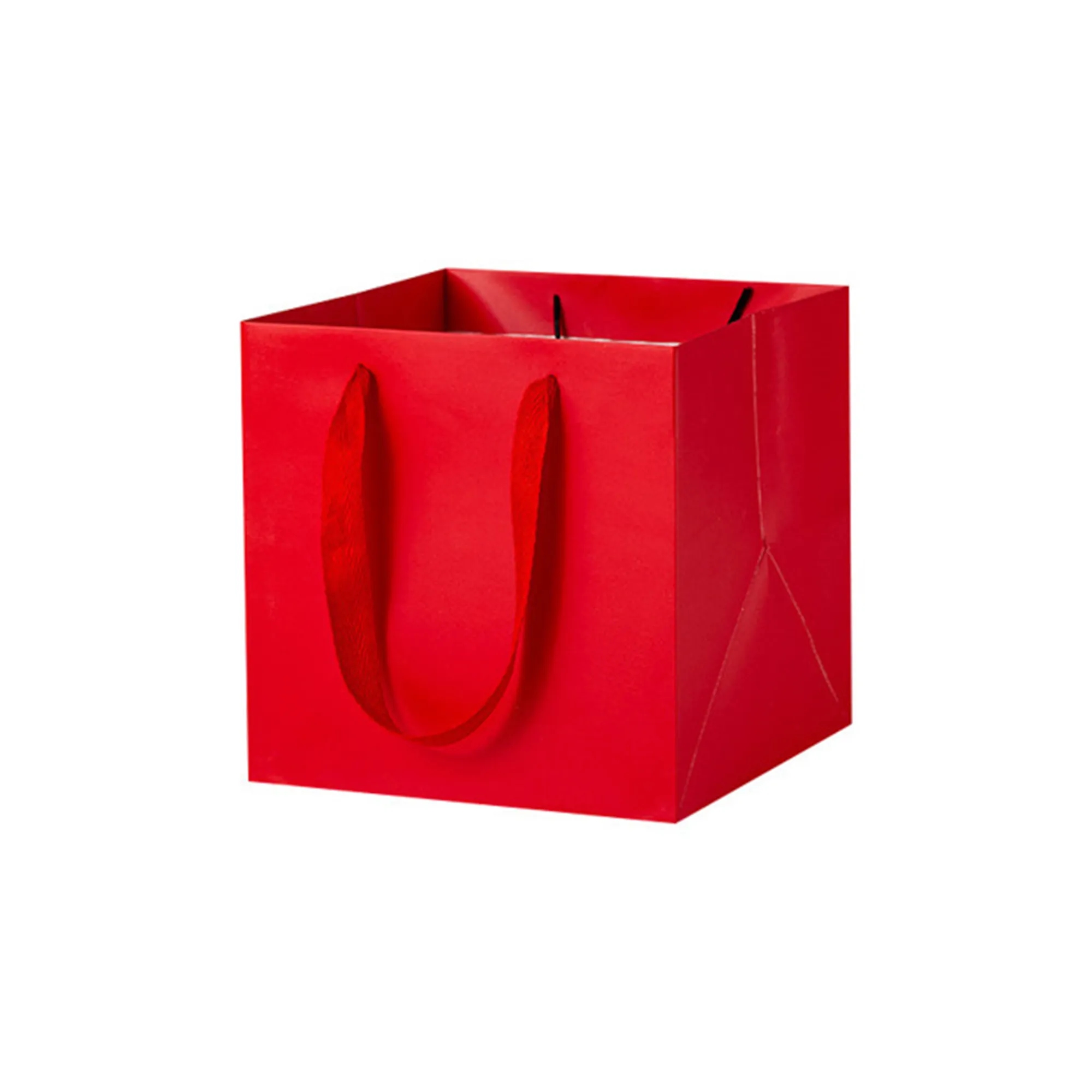 Vibrant Square Paper Gift Bags for Presents With Handles 7