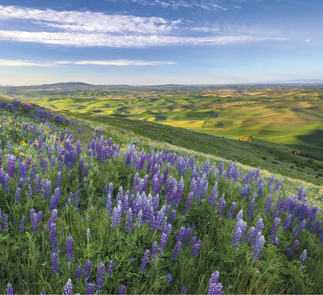 Good Value™ Landscapes of America - Mini Calendar 33