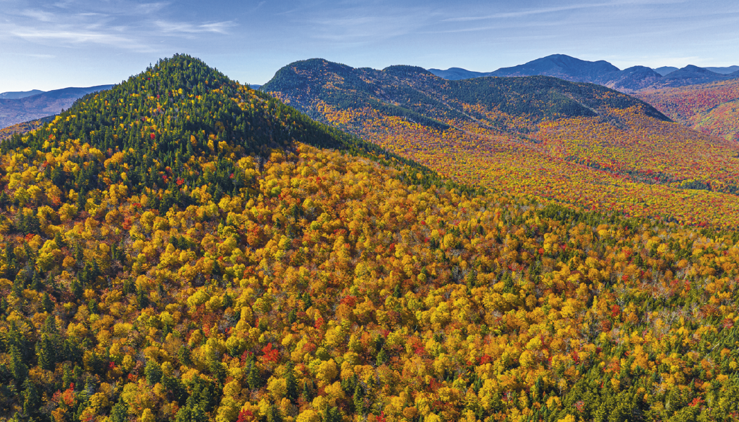 Triumph® Calendars American Splendor with Date Blocks Calendar 21