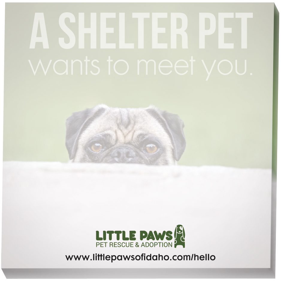 Souvenir® Sticky Note™ 3" x 3" Pad, 50 sheet 4