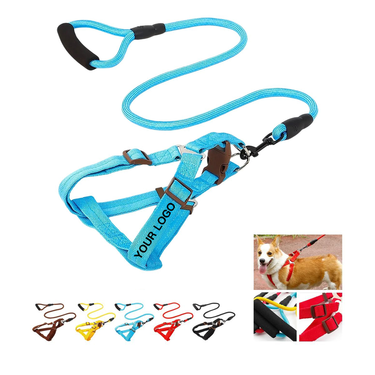 Nylon Walking Leash with Snap Hook 3