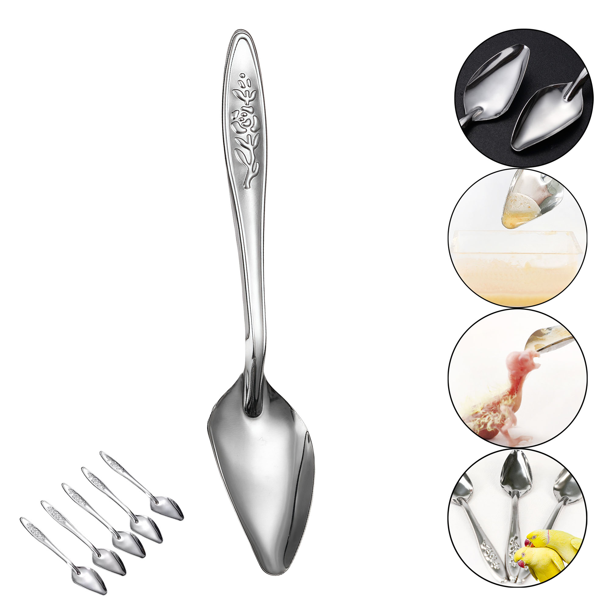Stainless Steel Baby Bird Feeding Spoon for Parrot Chicks 3