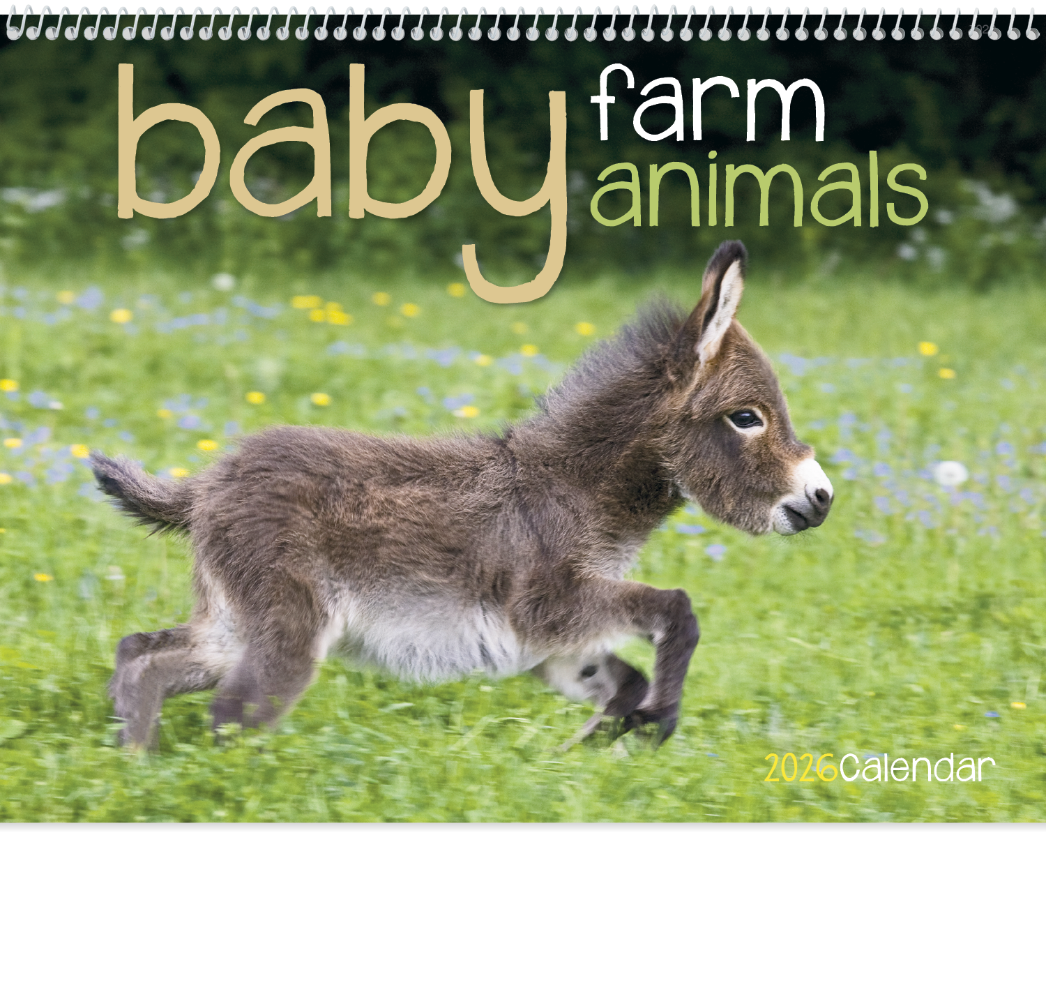 Good Value™ Baby Farm Animals - Spiral Calendar 25