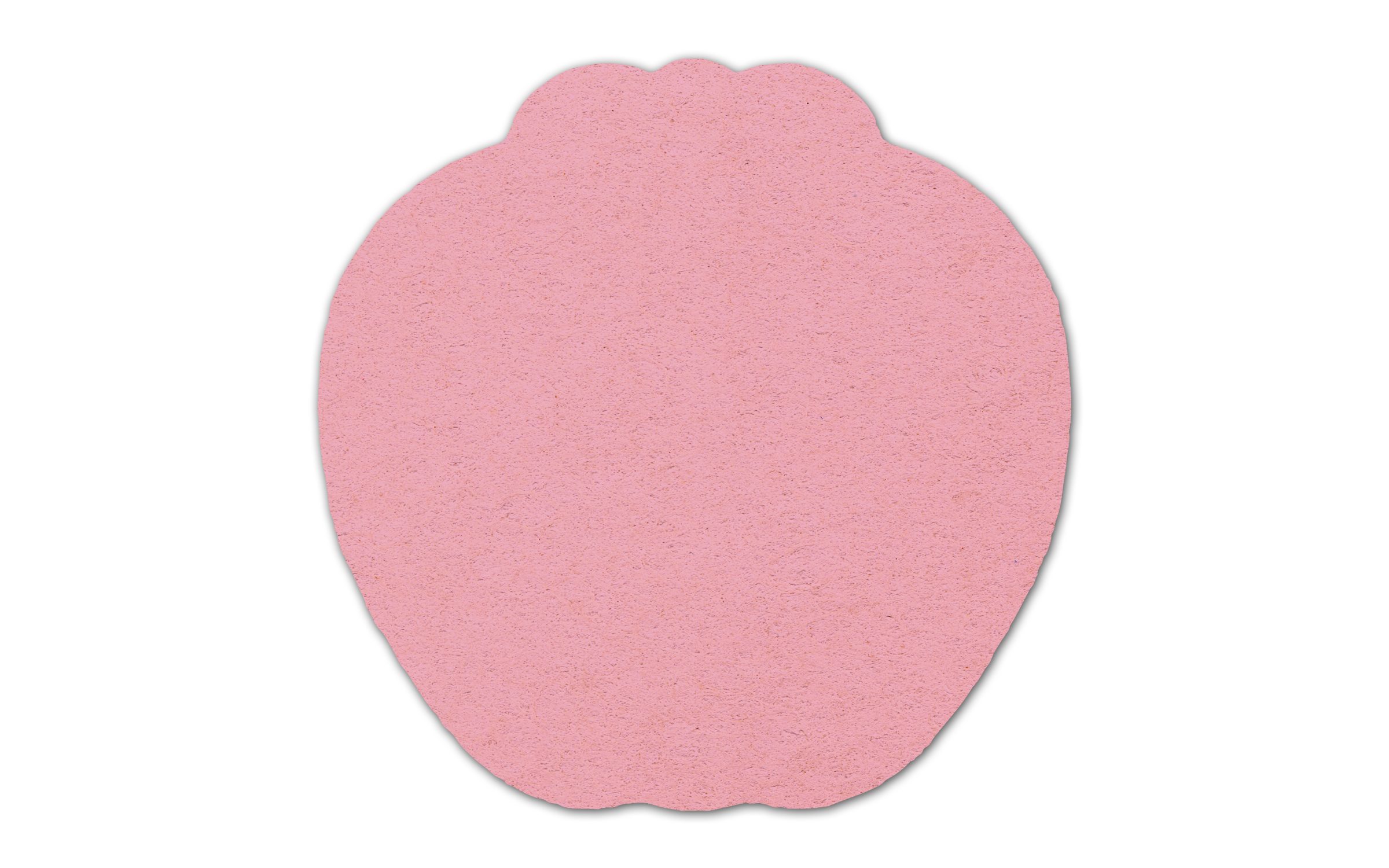 Apple Compressed Sponge 4AP 6