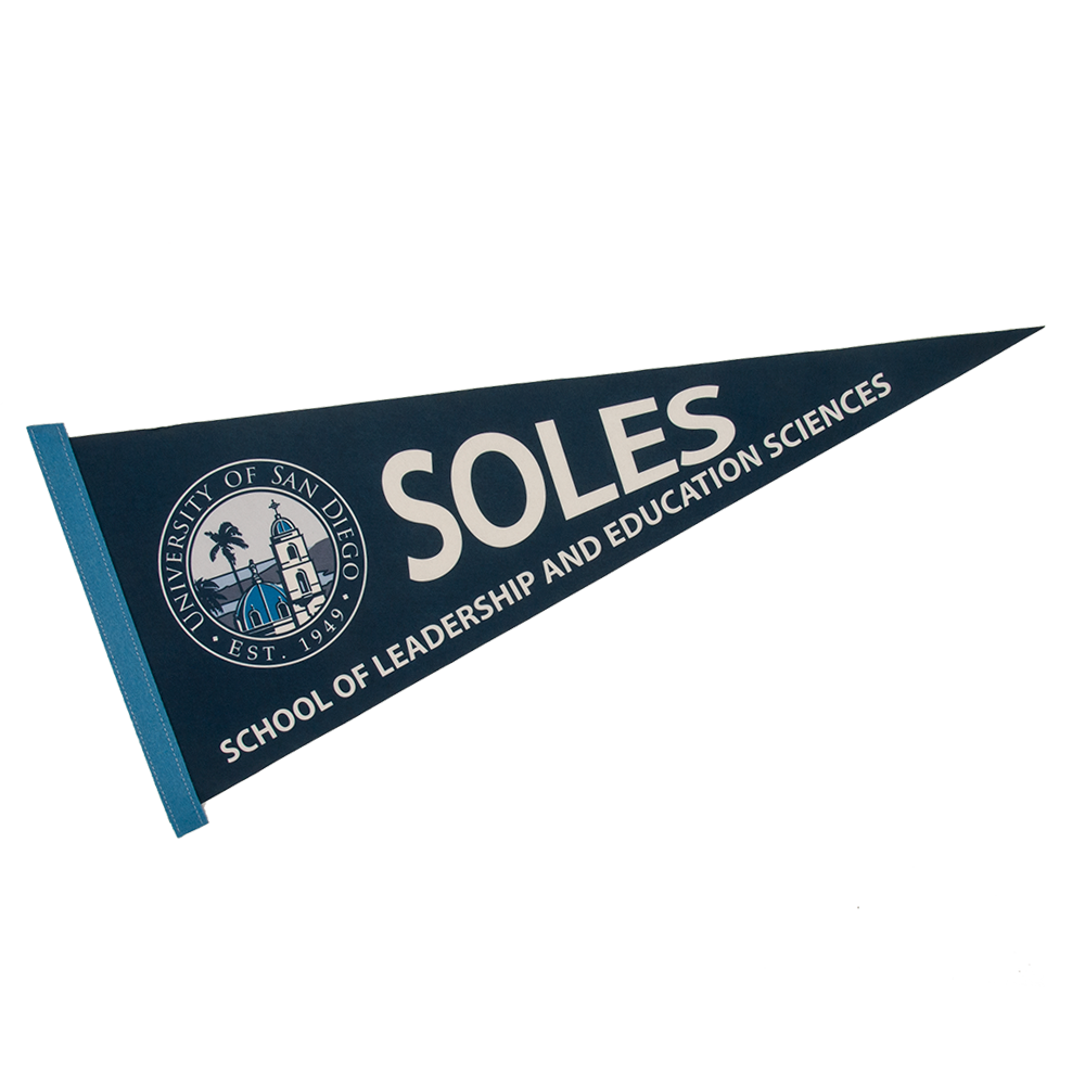 12" x 30" Full Color Felt Pennant 17