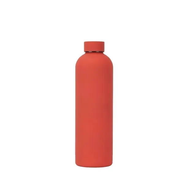 Stainless Steel Insulated Water Bottle with 17 oz Mouth 5
