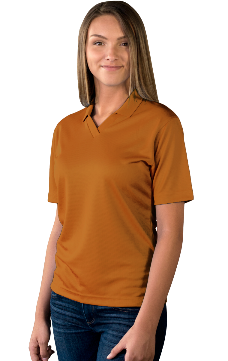 Ladies' Wicking V-Neck Polo 17