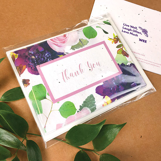 Custom Seed Card Set (3 Pack Single-Sided) 5