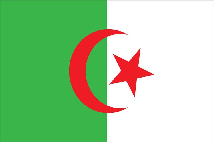 Algeria Flag - 2' x 3' - Nylon 2