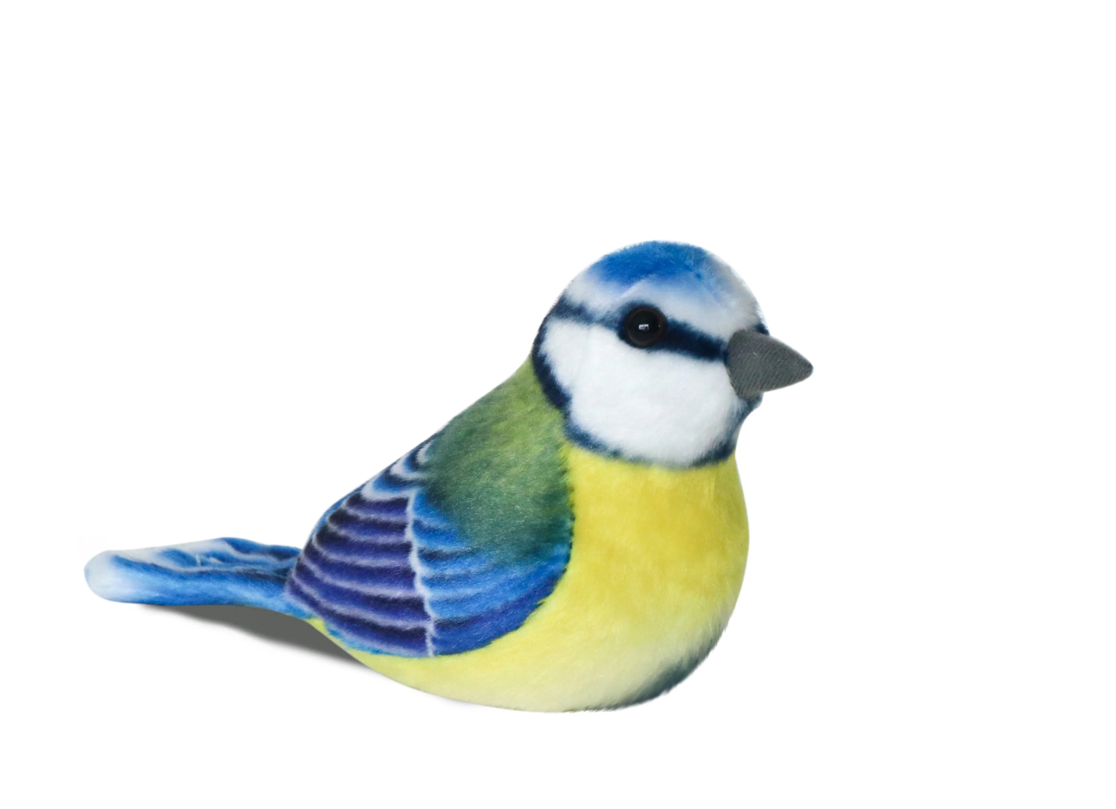 Parus Birds 4