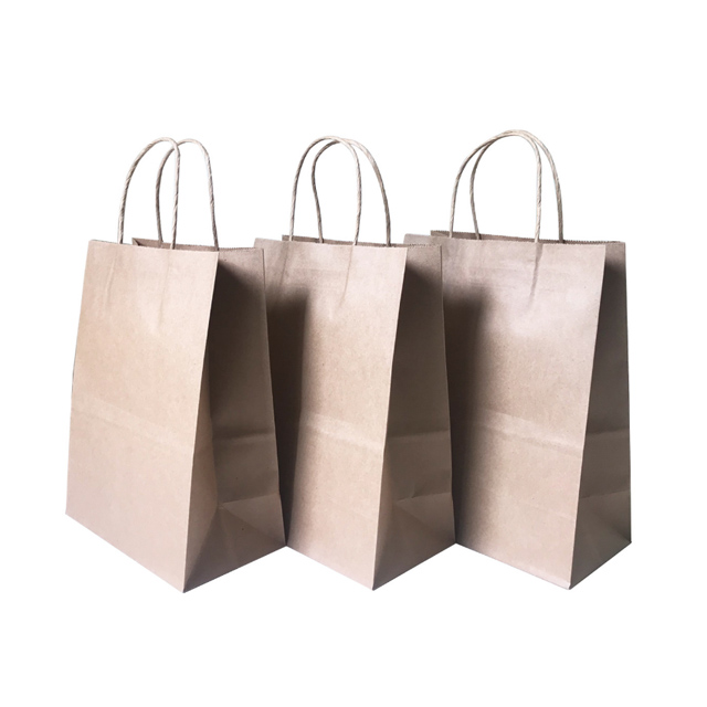Kraft Paper Gift Bags with Handles 2