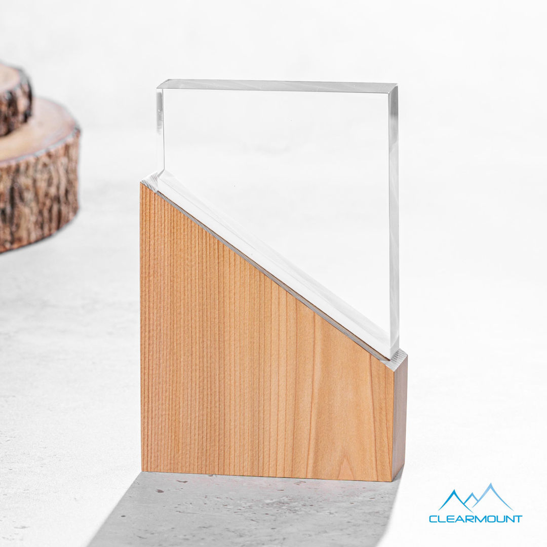 Rocheaux Award 8