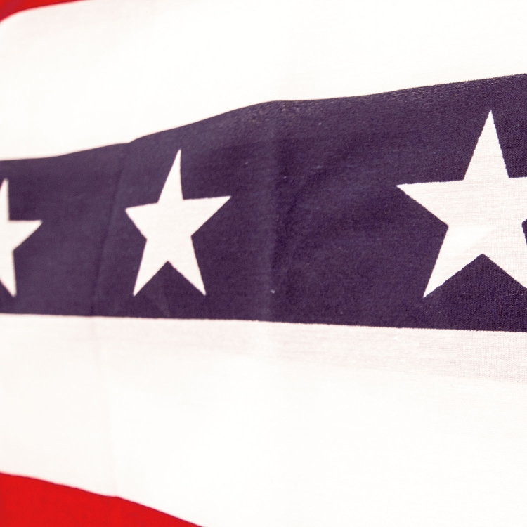 Stars & Stripes Bunting 3